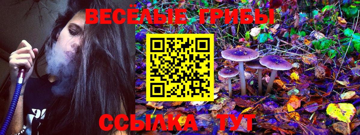 Волхов  Псилоцибиновые грибы мухоморы  Вход с VPN  Псилоцибиновые грибы GOLDEN TEACHER 